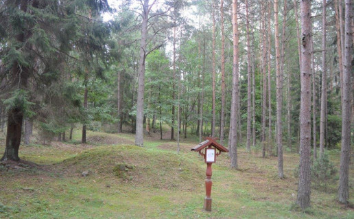 16_Poškonių pilkapynas.jpg